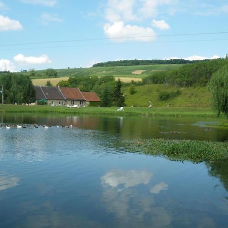 Domaine Du Moulin De L'Etang Bed and Breakfast Châtillon-sur-Marne Exterior foto