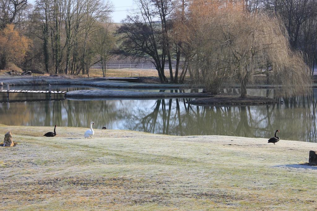 Domaine Du Moulin De L'Etang Bed and Breakfast Châtillon-sur-Marne Exterior foto