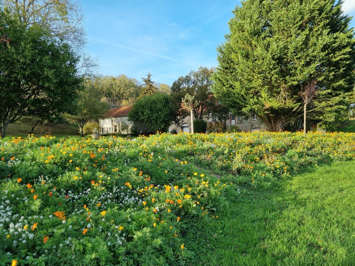 Domaine Du Moulin De L'Etang Bed and Breakfast Châtillon-sur-Marne Exterior foto