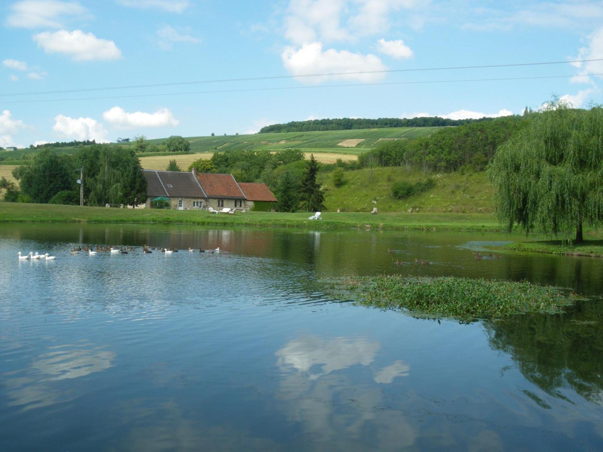 Domaine Du Moulin De L'Etang Bed and Breakfast Châtillon-sur-Marne Exterior foto