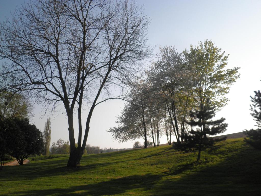 Domaine Du Moulin De L'Etang Bed and Breakfast Châtillon-sur-Marne Habitación foto